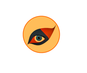 Vision-300x251